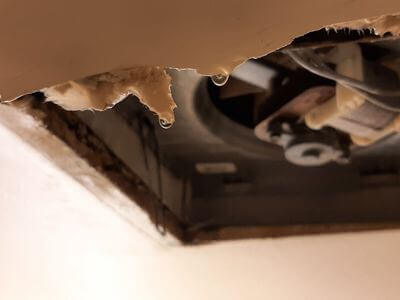 Professional water damage restoration services in Phoenix